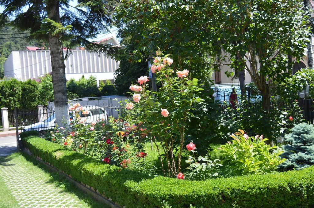 Vila Villador เปียตราเนียมซ์ ภายนอก รูปภาพ